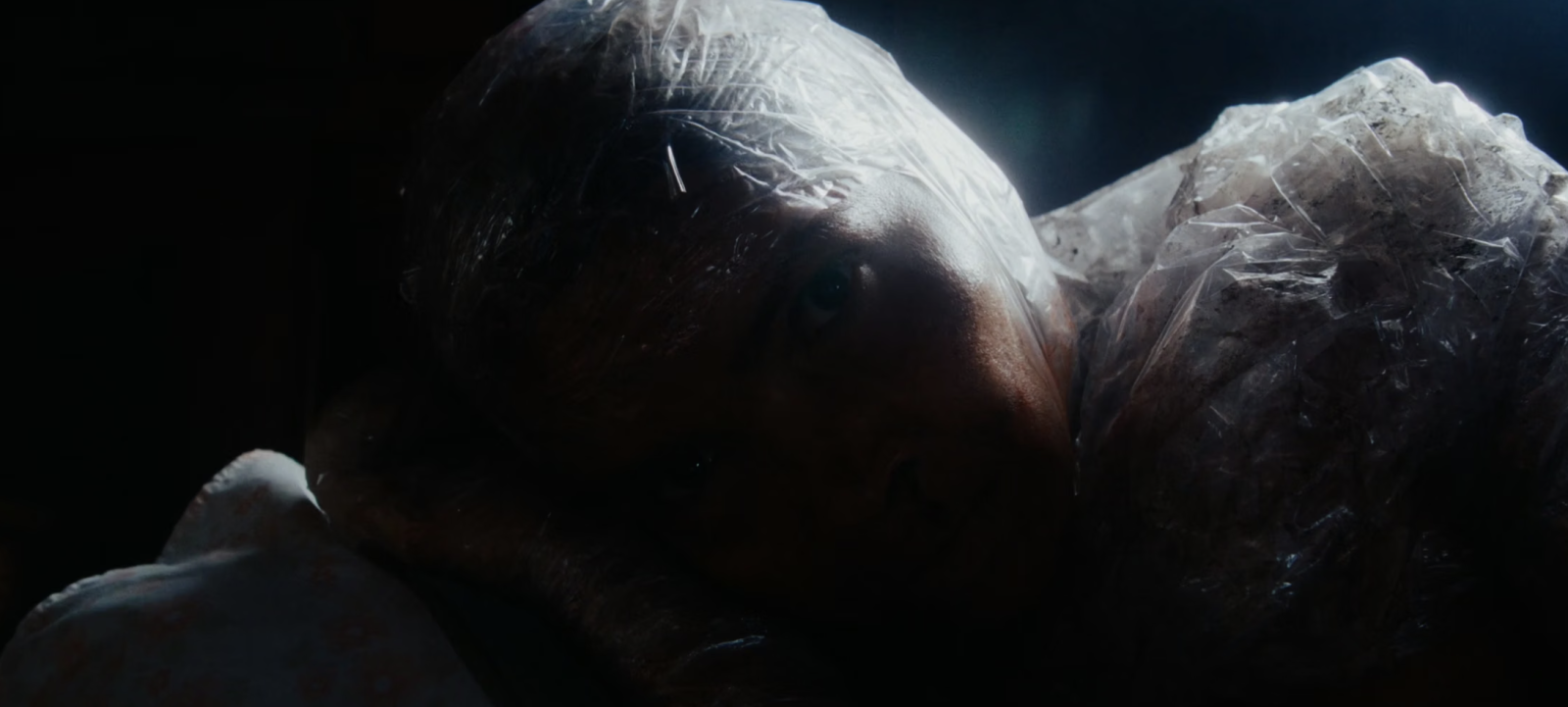 The New Flesh